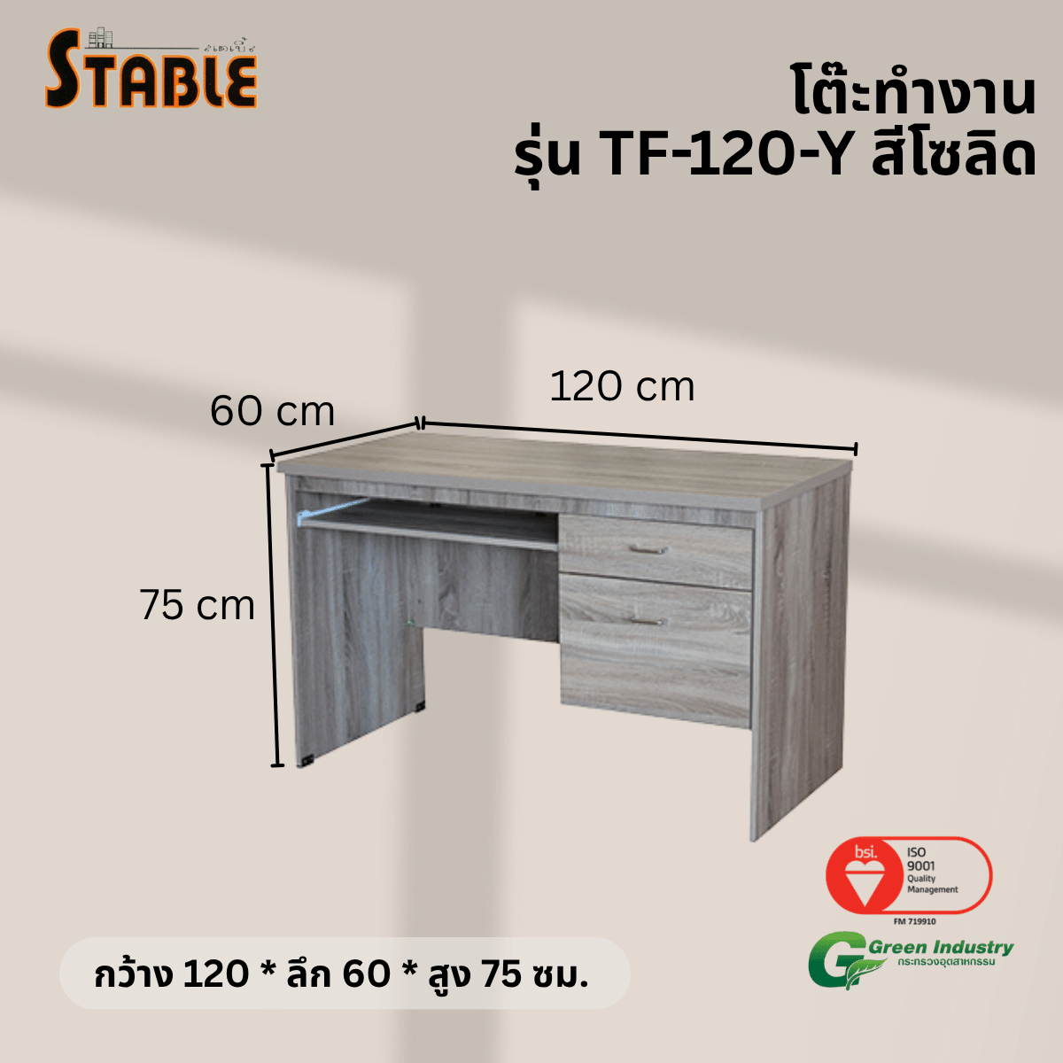 โต๊ะคอมพิวเตอร์ STABLE รุ่น TF-120-Y STABLE 120 ซม. สีโซลิด_2